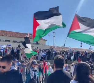 احتجاجات داعمة لفلسطين في عيد الأب بأستراليا