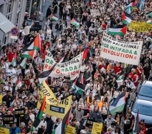 نشطاء في الدنمارك ينظمون مسيرة تضامن مع الشعب الفلسطيني