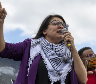 رشيدة طليب: على واشنطن معاقبة إسرائيل ووقف تسليحها