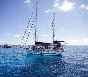 أسطول الصمود العالمي يعلن فتح باب التسجيل للمتخصصين لدعم تجهيز أسطول جديد