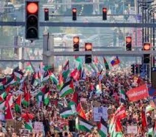 حظرنا تصدير ونقل الأسلحة إلى إسرائيل والتي تستخدم في فلسطين