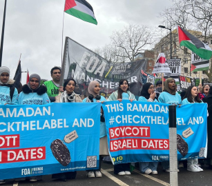 “تحقق من الملصق”..  دعوة لمقاطعة التمور الإسرائيلية خلال شهر رمضان