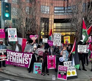 "الإبادة الجماعية ليست نسوية"  وقفة احتجاجية أمام قنصلية الاحتلال في لوس أنجلوس