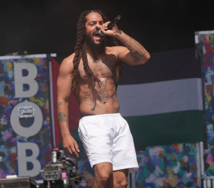 بوب فايلن:يجب على الفنانين استخدام منصاتهم لدعم الفلسطينيين