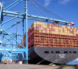 ناقلة الأسلحة لـ”إسرائيل”.. يوم عمل ضدّ شركة MSC في نابولي