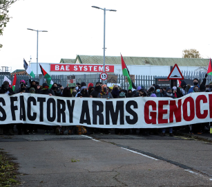 المشاركة في الإبادة.. نشطاء يُعطّلون إنتاج "بي إيه إي سيستمز" في أديلايد