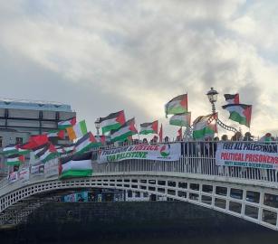 رغم محاولات منعها.. الحكومة الأيرلندية تُصدّر شحنة مواشي بقيمة 7.5 مليون يورو