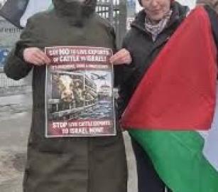 وقفة احتجاجية في أيرلندا تنديدًا بتصدير ماشية إلى إسرائيل