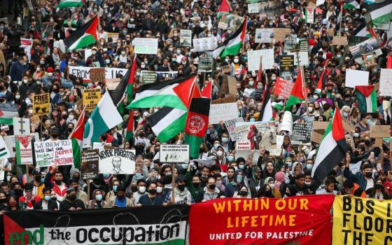رفضًا للاحتلال.. دعوات للتوقيع على تعهد بإنهاء نظام الفصل العنصري✊