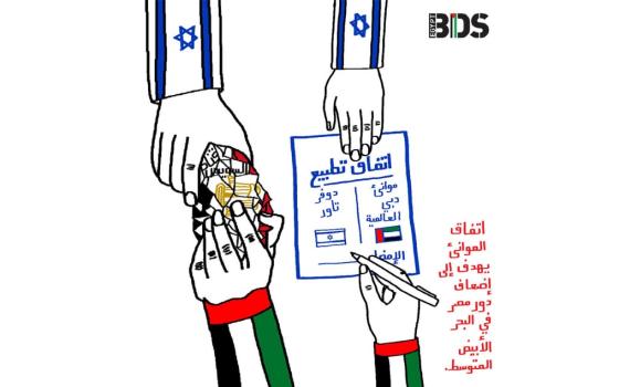 حركة المقاطعة في مصر: صراعُنا مع الاحتلال هو صراعٌ وجودي