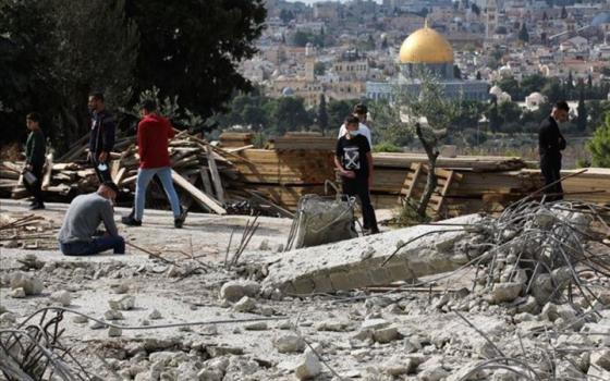 مقررة أممية تنتقد جرائم الاحتلال والتهجير القسري للفلسطينيين