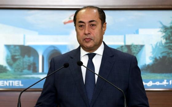 الجامعة العربية توافق بالإجماع على طلب فلسطين بتوفير الحماية الدولية ??