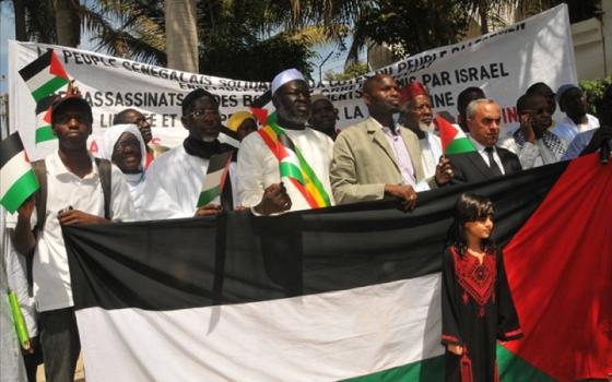 نشرة "أخبار مقاطعة"