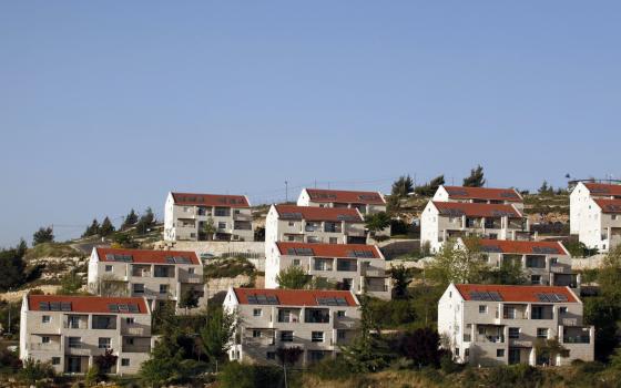 حركة المقاطعة تجدد دعوتها للعمل ضد شركة "تريب أدفايزر"