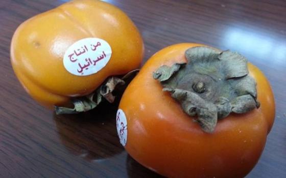 وزير الزراعة الأردني يثير الجدل بعد تصريحات تطبيعية