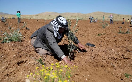 حملة أميركية تدين سيطرة الاحتلال الإسرائيلي على الموارد الطبيعية في فلسطين