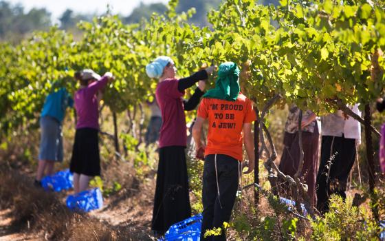 أنقرة.. حركة المقاطعة تدعو للضغط على الاتحاد الأوروبي لحظر منتجات المستوطنات  