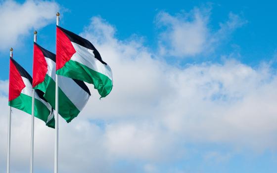 البحرين.. دعوات لرفع العلم الفلسطيني فوق المنازل والمباني