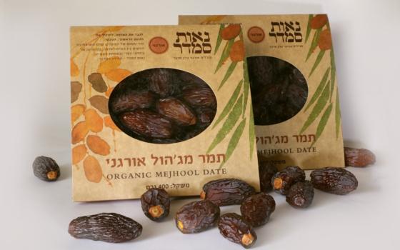 باريس.. حركة المقاطعة تدعو لعدم استهلاك السلع الإسرائيلية