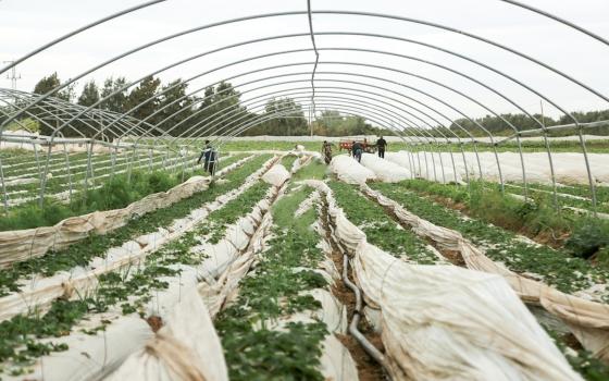 حركة المقاطعة تستنكر هيمنة الاحتلال الإسرائيلي على الموارد الطبيعية الفلسطينية