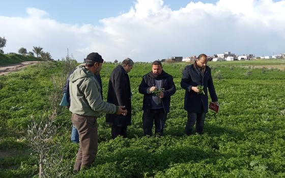 بلفاست.. حركة المقاطعة تدين اعتداء الاحتلال على الأراضي الزراعية بغزة