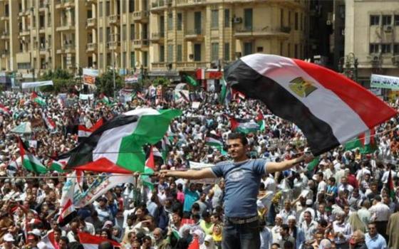 نشرة "أخبار مقاطعة"