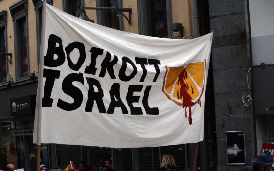 حملة أيرلندية تطالب الأحزاب بالعمل على حظر المنتجات الإسرائيلية  