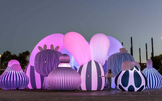 نشرة “أخبار مقاطعة”  