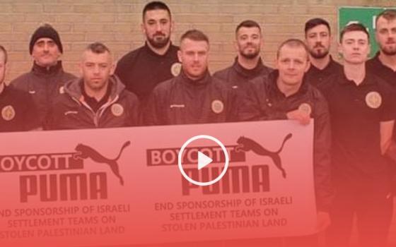 بلفاست.. نادي "دونجال سيلتيك" يشارك في اليوم العالمي الثالث ضد بوما