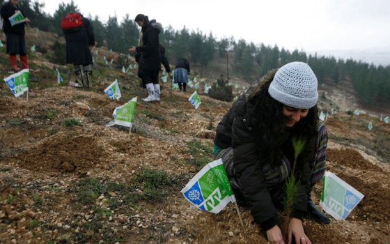 حملة تضامن تطالب النائب العام البريطاني بالتحقيق في نشاط مؤسسة إسرائيلية