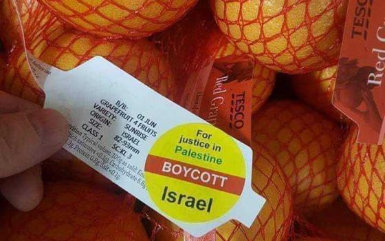 حملة أيرلندية تدعو الأحزاب المنتخبة لحظر استيراد سلع المستوطنات الإسرائيلية