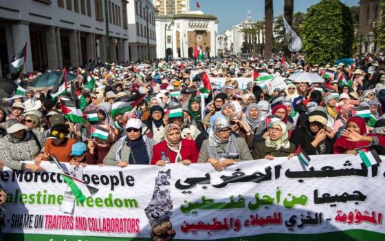 نشرة "أخبار مقاطعة"