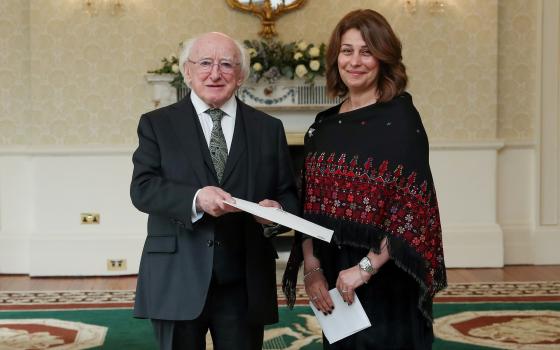 سفيرة فلسطين لدى أيرلندا: "إسرائيل" تهدف لصرف النظر عن الانتصار في البرلمان الأيرلندي