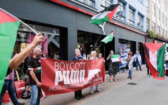 نشرة "أخبار مقاطعة"