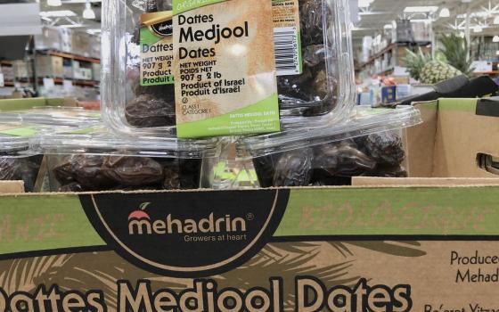 حملة عالمية لمقاطعة منتجات الاحتلال من التمور