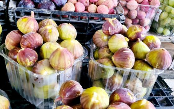 سفير الاحتلال بالإمارات يروج لفواكه المستوطنات ويحتال على التاريخ