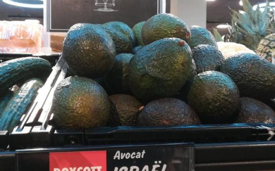 رابطة "فلسطين ستنتصر" تحذر من شراء المنتجات الإسرائيلية في فرنسا