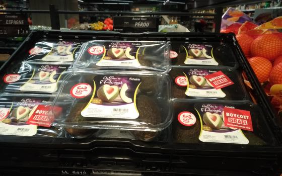 رابطة "فلسطين ستنتصر" تدعو لمقاطعة منتجات شركة "Mehadrin" الإسرائيلية