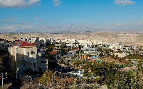 حركة المقاطعة تدعو للعمل ضد شركة "تريب أدفايزر"