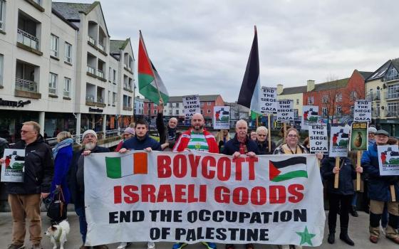 النشرة - وقفات داعمة لفلسطين بمدن أيرلندية.. وتنظيم فعاليات أخرى في مانشستر