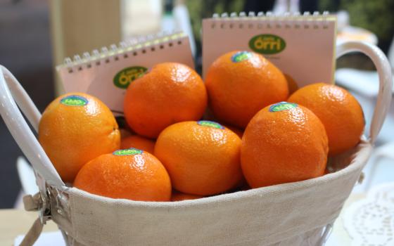 حملة أيرلندية تدعو لمقاطعة منتجات الاحتلال الإسرائيلي