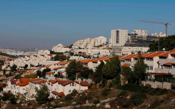 حركة المقاطعة تدعو للعمل ضد شركة تريب أدفايزر  