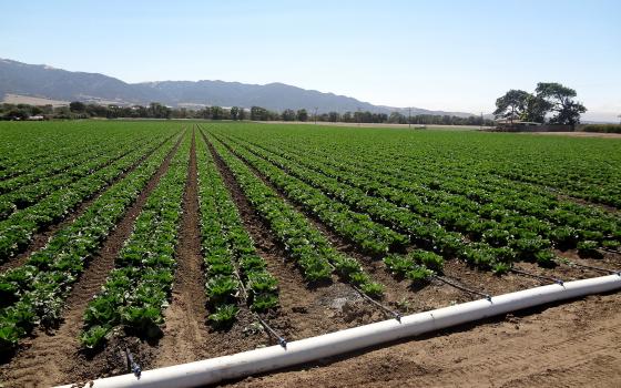 المقاطعة تدعو للعمل ضد شركة "Netafim" الإسرائيلية المتخصصة بالتكنولوجيا الزراعية