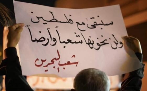 نشرة "أخبار مقاطعة"  