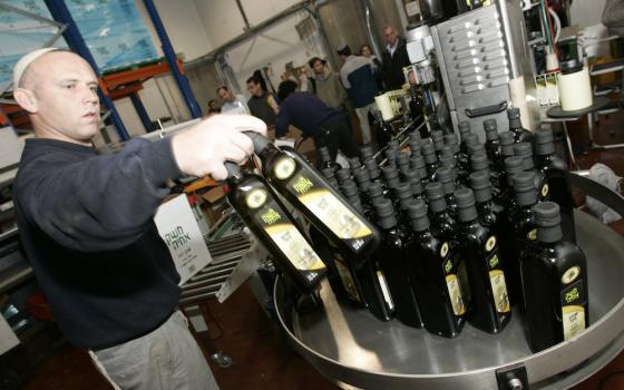 بلجيكا.. دعواتٌ إلى مقاطعة منتجات Meshek Achiya الإسرائيلية