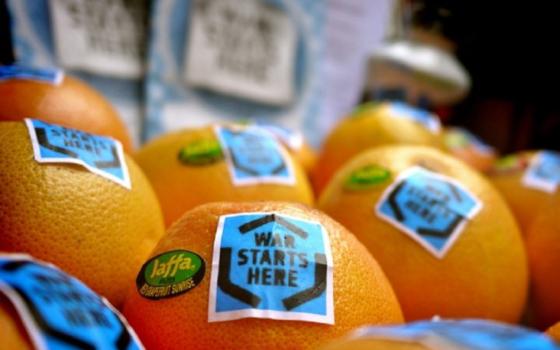 الخارجية الفلسطينية: وسم النرويج لمنتجات المستوطنات خطوة قانونية وأخلاقية