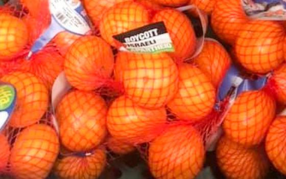 بلفاست.. حركة المقاطعة تدعو إلى مقاطعة المنتجات الإسرائيلية في متاجر تيسكو