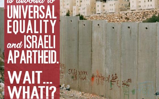 إيطاليا.. دعوات للمشاركة في اليوم العالمي ضد بوما