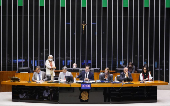 الكونغرس البرازيلي يعقد جلسة خاصة من أجل فلسطين