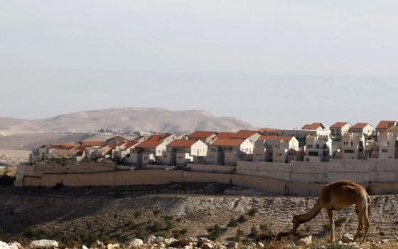 حركة التضامن الدولية تدين التوسع الاستيطاني في الخليل